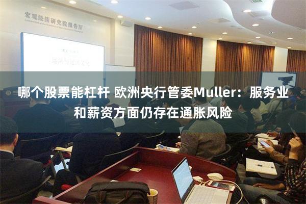 哪个股票能杠杆 欧洲央行管委Muller：服务业和薪资方面仍存在通胀风险