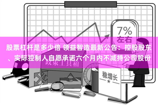 股票杠杆是多少倍 领益智造最新公告：控股股东、实际控制人自愿承诺六个月内不减持公司股份