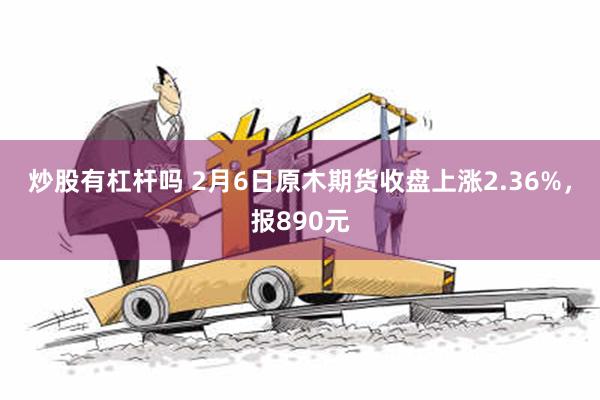 炒股有杠杆吗 2月6日原木期货收盘上涨2.36%，报890元